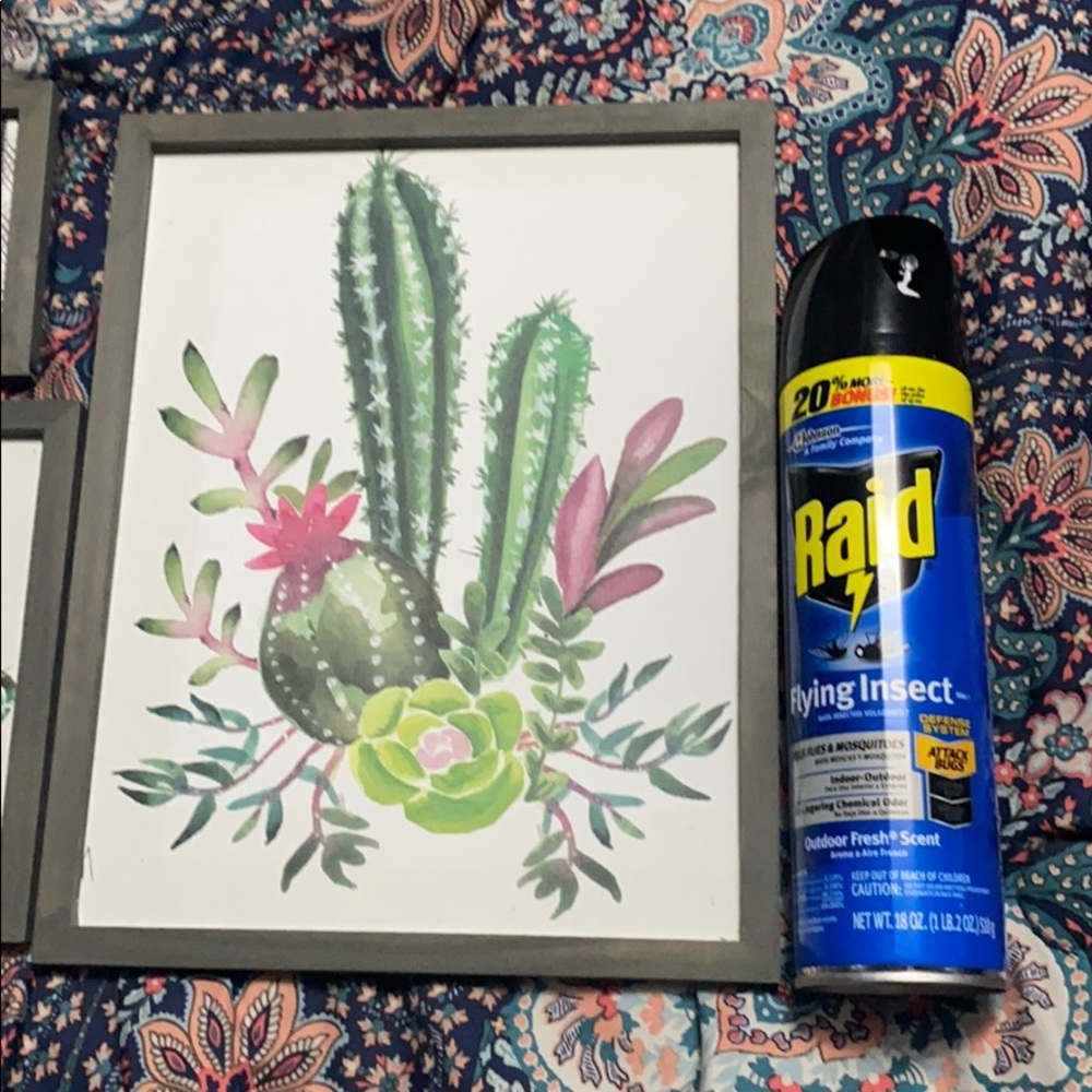 Cactus artwork - Picture 2 of 5